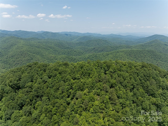 1000 Sutton Creek Rd, Pisgah Forest, NC 28768 - photo 27
