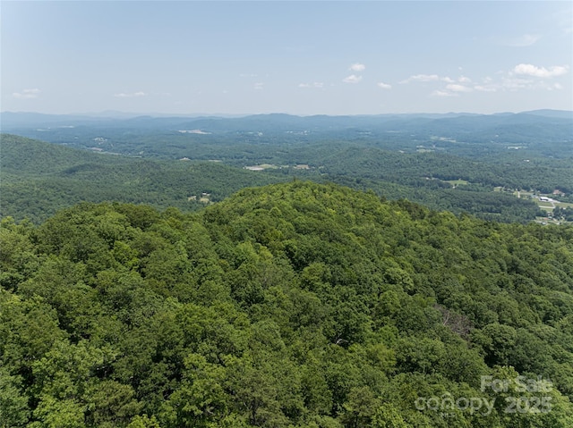1000 Sutton Creek Rd, Pisgah Forest, NC 28768 - photo 28