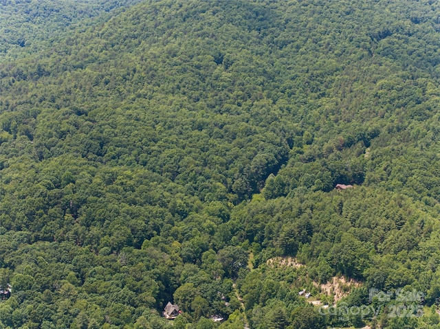 1000 Sutton Creek Rd, Pisgah Forest, NC 28768 - photo 29