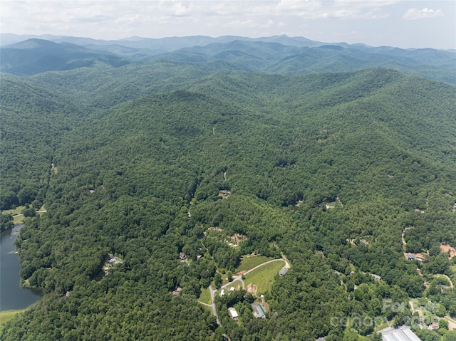 1000 Sutton Creek Rd, Pisgah Forest, NC 28768 - photo 30