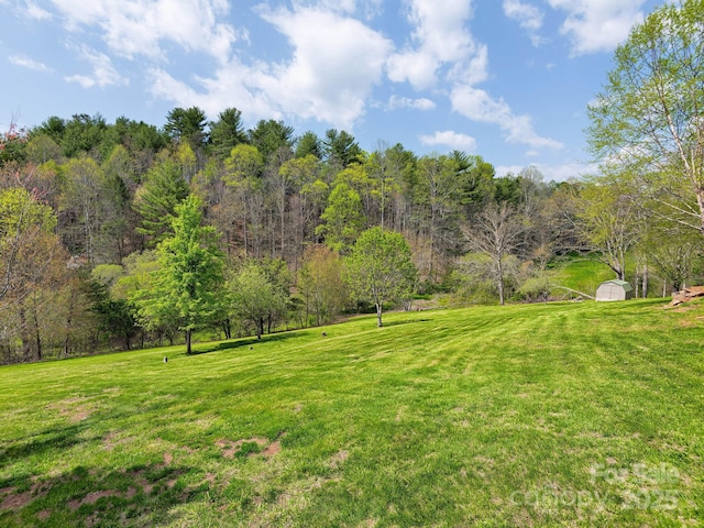 29 Enchanted Oak Ln, Alexander, NC 28701 - photo 30