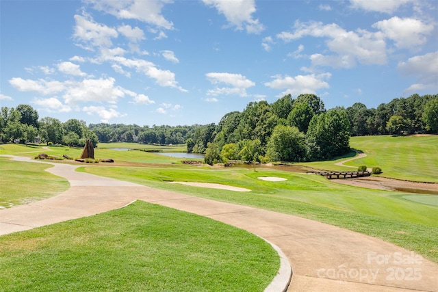12403 Willingdon Rd, Huntersville, NC 28078 - photo 42
