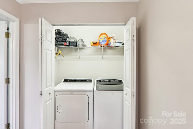 10 Old Salem Ct, Fletcher, NC 28732 - photo 24