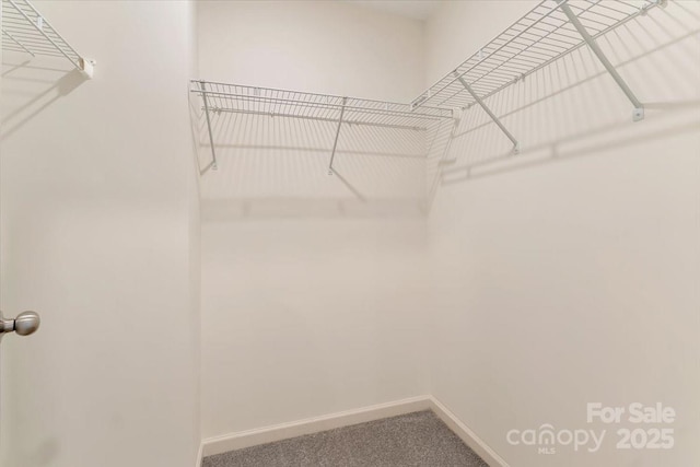 1207 Scotch Meadows Loop, Monroe, NC 28110 - photo 25