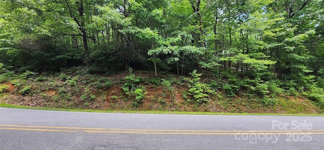 LOT37 White Oak Mountain Rd, Columbus, NC 28722 - photo 3