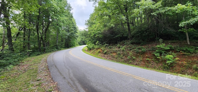 LOT37 White Oak Mountain Rd, Columbus, NC 28722 - photo 4