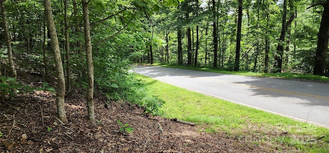 LOT37 White Oak Mountain Rd, Columbus, NC 28722 - photo 6