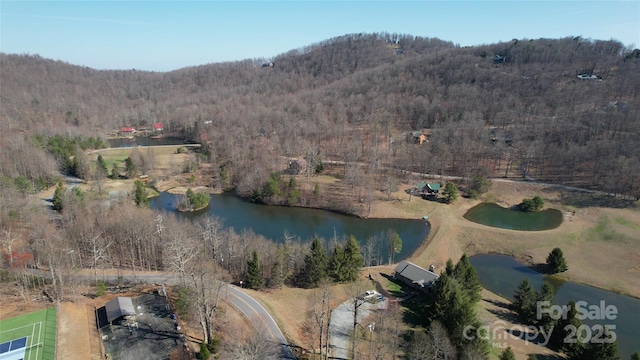 LOT37 White Oak Mountain Rd, Columbus, NC 28722 - photo 8