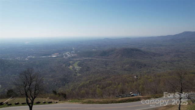 LOT37 White Oak Mountain Rd, Columbus, NC 28722 - photo 10
