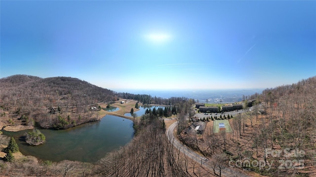 LOT37 White Oak Mountain Rd, Columbus, NC 28722 - photo 12