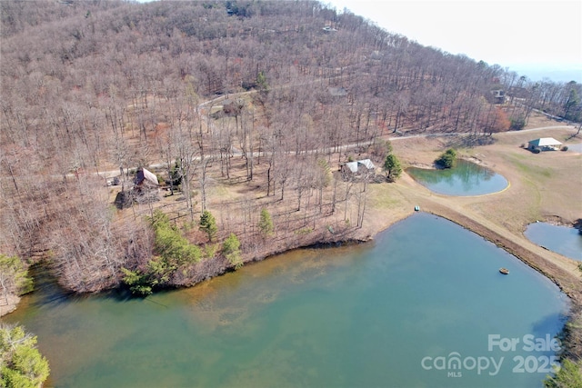 LOT37 White Oak Mountain Rd, Columbus, NC 28722 - photo 13