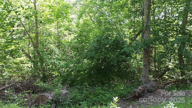 0 Sunset Ridge Dr Lot # 21, Columbus, NC 28722 - photo 2