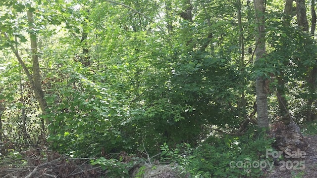 0 Sunset Ridge Dr Lot # 21, Columbus, NC 28722 - photo 3