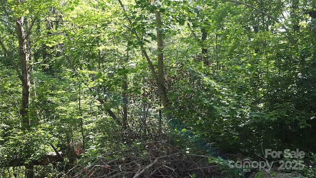 0 Sunset Ridge Dr Lot # 21, Columbus, NC 28722 - photo 4