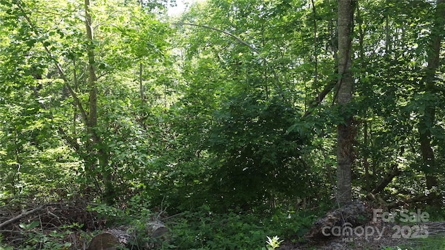0 Sunset Ridge Dr Lot # 21, Columbus, NC 28722 - photo 5