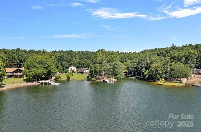 403 Nivens Cove Rd, Mount Holly, NC 28120 - photo 5