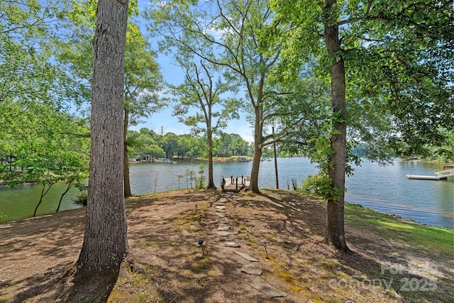 403 Nivens Cove Rd, Mount Holly, NC 28120 - photo 13