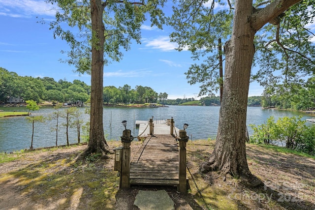 403 Nivens Cove Rd, Mount Holly, NC 28120 - photo 14