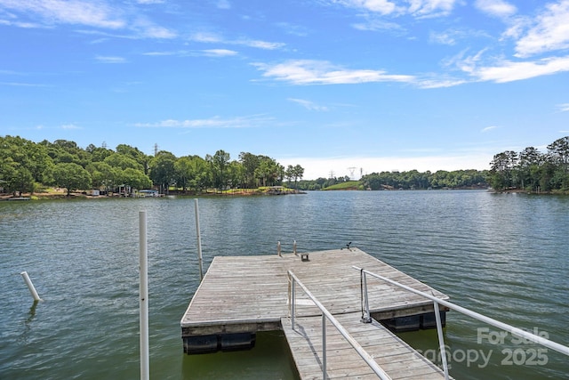 403 Nivens Cove Rd, Mount Holly, NC 28120 - photo 16