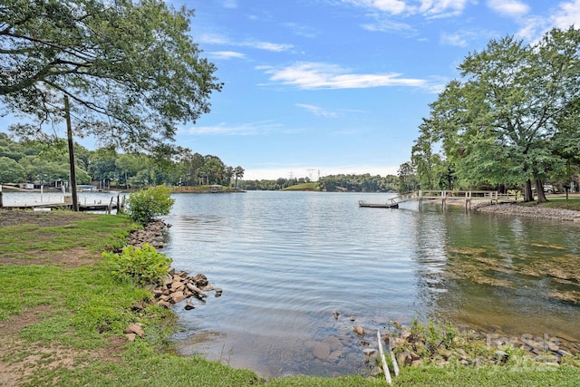 403 Nivens Cove Rd, Mount Holly, NC 28120 - photo 20