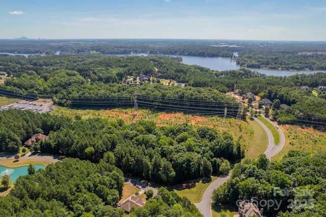 3004 Ashwood Park Dr, Belmont, NC 28012 - photo 10