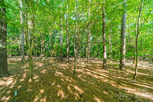 3004 Ashwood Park Dr, Belmont, NC 28012 - photo 17