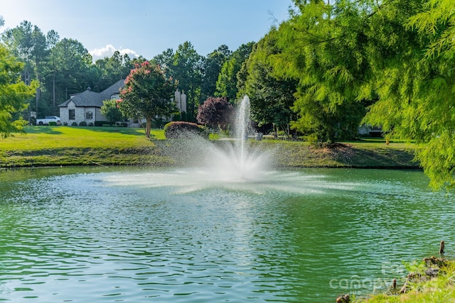 3004 Ashwood Park Dr, Belmont, NC 28012 - photo 23