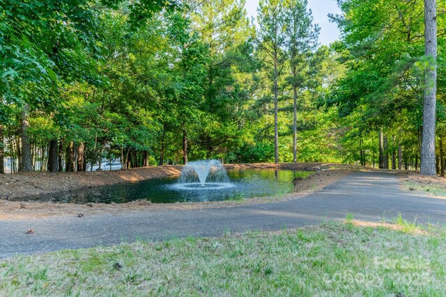 3004 Ashwood Park Dr, Belmont, NC 28012 - photo 24
