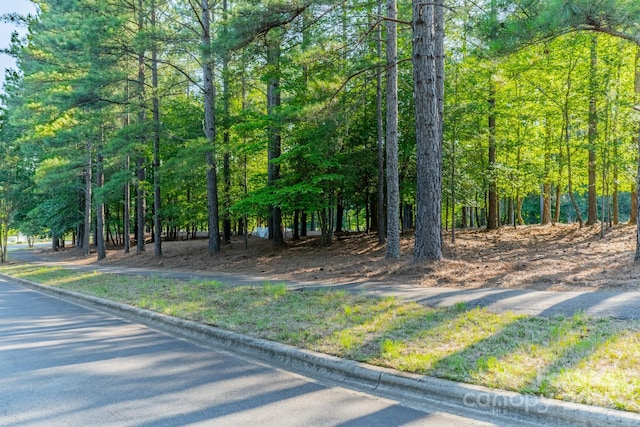 3004 Ashwood Park Dr, Belmont, NC 28012 - photo 26