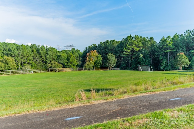 3004 Ashwood Park Dr, Belmont, NC 28012 - photo 27