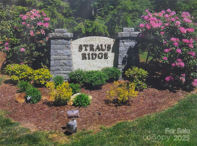99 Ridgetop Cir, Brevard, NC 28712 - photo 1