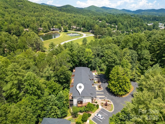 99 Ridgetop Cir, Brevard, NC 28712 - photo 31