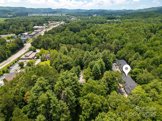 99 Ridgetop Cir, Brevard, NC 28712 - photo 32