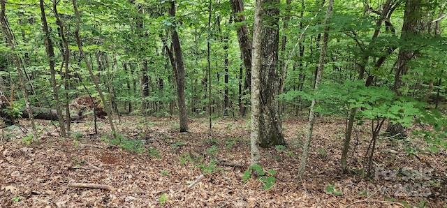 LOT34 White Oak Mountain Rd, Columbus, NC 28722 - photo 2