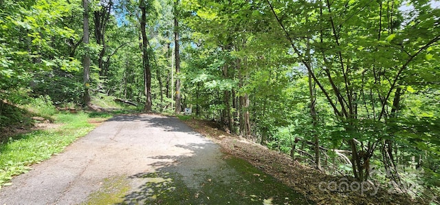 LOT34 White Oak Mountain Rd, Columbus, NC 28722 - photo 3