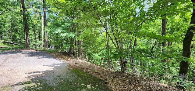 LOT34 White Oak Mountain Rd, Columbus, NC 28722 - photo 4