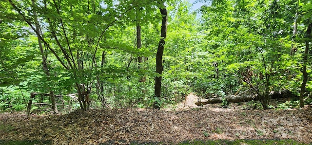 LOT34 White Oak Mountain Rd, Columbus, NC 28722 - photo 5