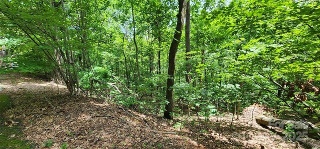 LOT34 White Oak Mountain Rd, Columbus, NC 28722 - photo 6