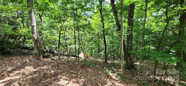 LOT34 White Oak Mountain Rd, Columbus, NC 28722 - photo 7