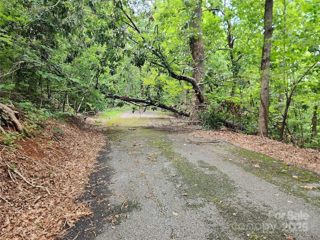 LOT34 White Oak Mountain Rd, Columbus, NC 28722 - photo 8
