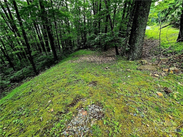 TBD Red Fox Rdg Unit 5, Boone, NC 28607 - photo 2