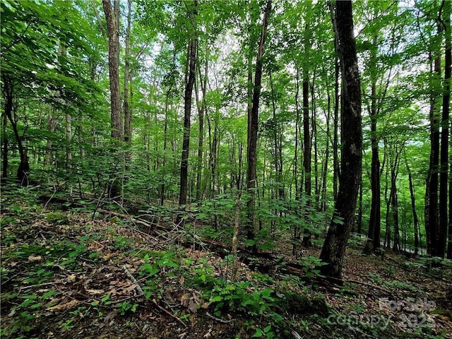 TBD Red Fox Rdg Unit 5, Boone, NC 28607 - photo 4