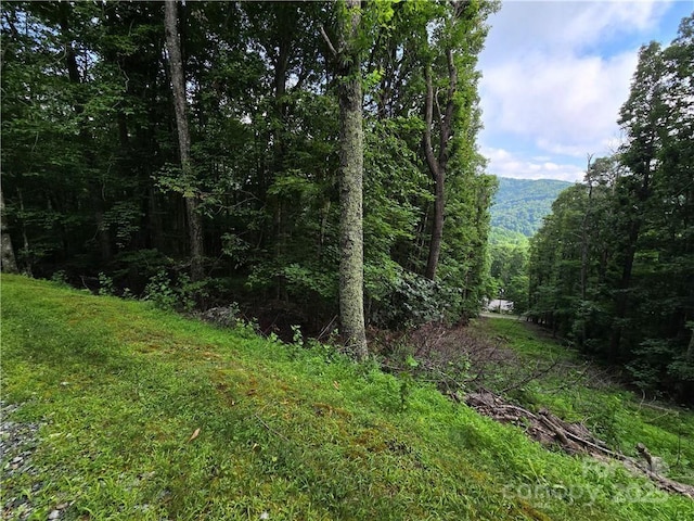 TBD Red Fox Rdg Unit 5, Boone, NC 28607 - photo 18