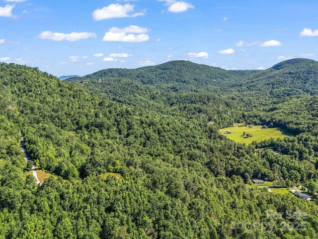 0 Climbing Rd, Hendersonville, NC 28792 - photo 11