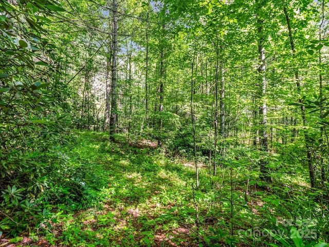 0 Climbing Rd, Hendersonville, NC 28792 - photo 21