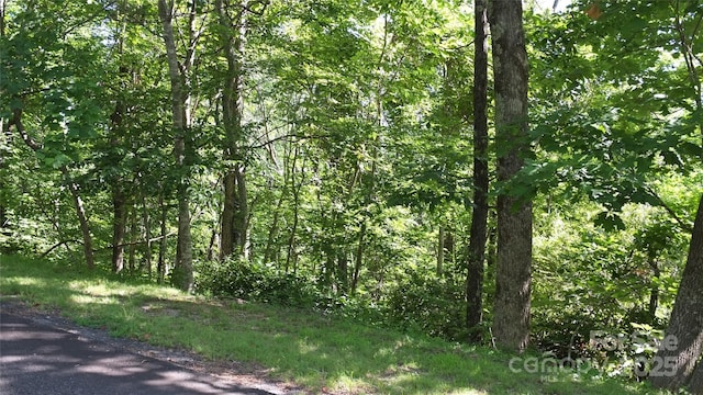 0 Sunset Ridge Dr Lot # 11, Columbus, NC 28722 - photo 2
