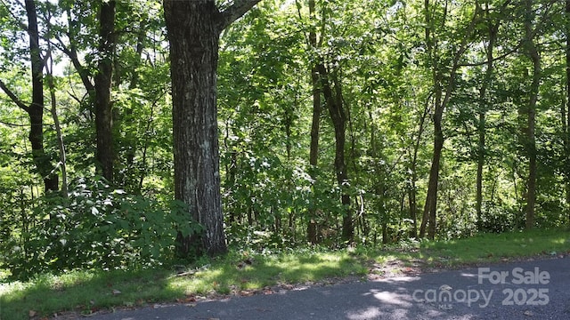0 Sunset Ridge Dr Lot # 11, Columbus, NC 28722 - photo 3