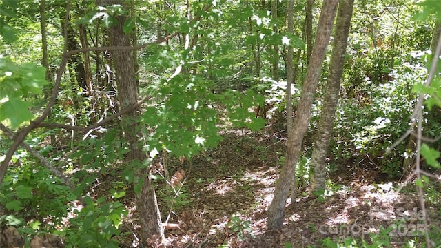 0 Sunset Ridge Dr Lot # 11, Columbus, NC 28722 - photo 4
