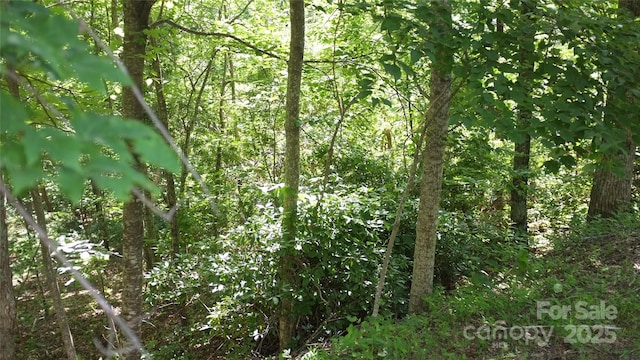 0 Sunset Ridge Dr Lot # 11, Columbus, NC 28722 - photo 5