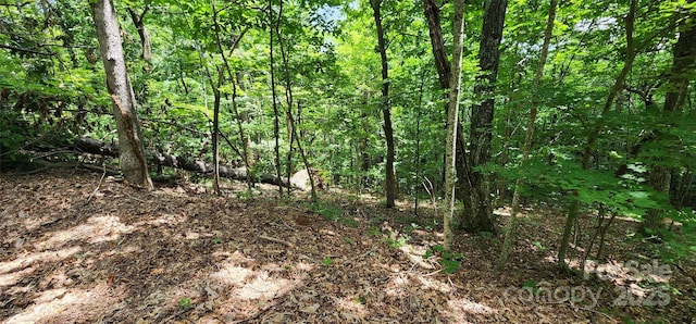 LOT31 White Oak Mountain Rd, Columbus, NC 28722 - photo 8